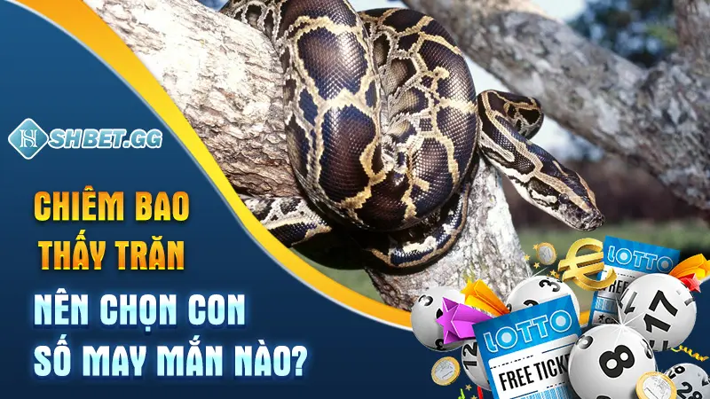 Giấc Mơ Thấy Trăn Mang Điềm Báo Gì Và Những Con Số Liên Quan 4 Chiêm bao thấy trăn nên chọn con số may mắn nào?