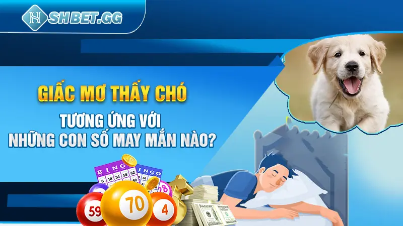 Giải Mã 10 Thông Điệp Ẩn Sau Mỗi Giấc Mơ Thấy Chó 4 Giấc mơ thấy chó tương ứng với những con số may mắn nào?