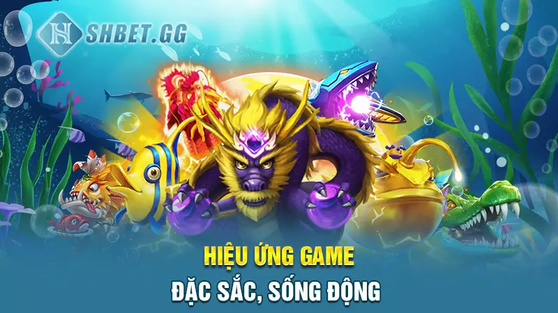 Cách tải game bắn cá Fishing Diary nhanh chóng nhất 5 Hiệu ứng game đặc sắc, sống động