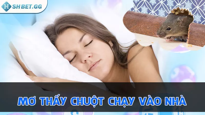 Nằm mơ thấy chuột thì đánh con gì để thu hút tài lộc? 4 Mơ thấy chuột chạy vào nhà