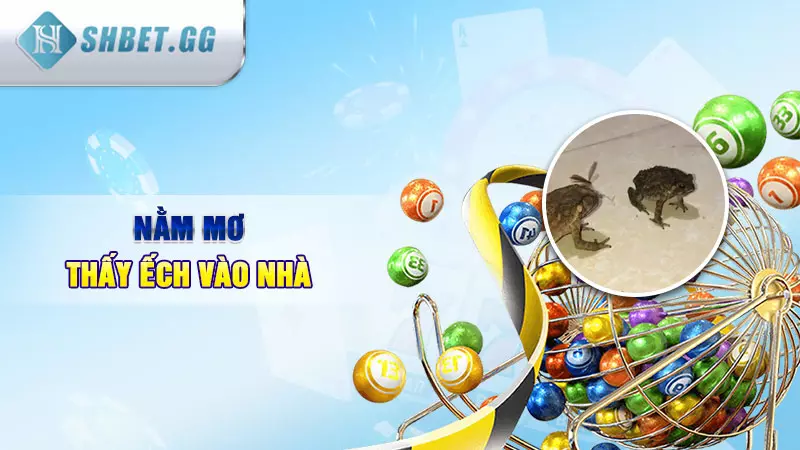 Giải mã giấc mơ thấy con ếch đánh đề số mấy 4 Nằm mơ thấy ếch vào nhà